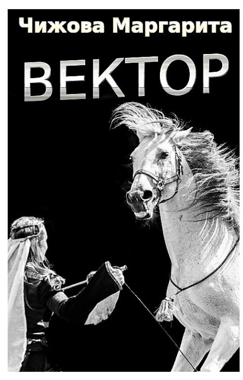 Обложка книги Маргарита Искра Чижова Вектор