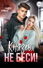 обложка книги Кира Ланвин "Князев, не беси!"