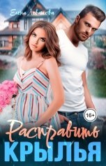 обложка книги Елена Левашова "Расправить крылья"