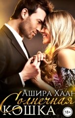 обложка книги Ашира Хаан "Солнечная кошка"