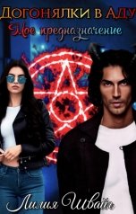 обложка книги Лилия Швайг "Догонялки в Аду. Моё предназначение"