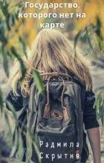 обложка книги Радмила Скрытня "Государство, которого нет на карте"
