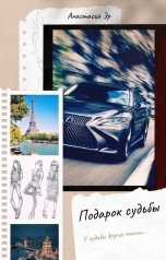 обложка книги Анастасия Эр "Подарок судьбы"