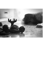 обложка книги Владимир Нежный "Случайный звонок"