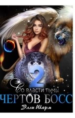 обложка книги Элли Шарм "Чертов босс. Во власти тьмы 2 часть"