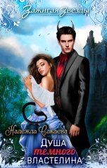обложка книги Надежда Сакаева "Душа Темного Властелина, или новогодний переполох в Рэйлине"