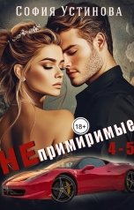 обложка книги София Устинова "Непримиримые 4-5"