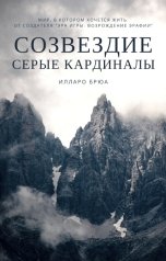 обложка книги Илларо Брюа "Серые кардиналы"