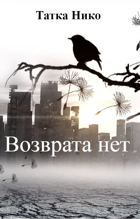 Обложка книги Татка Нико Возврата нет