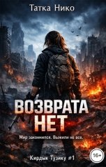 обложка книги Татка Нико "Возврата нет"