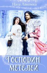 обложка книги Ната Лакомка "Господин Метелей"