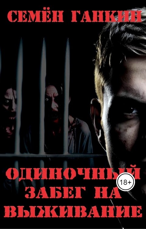 Обложка книги Семён Ганкин Одиночный забег на выживание