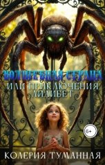 обложка книги Колерия Туманная "Волшебная страна, или Приключения Лилибет"