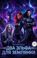 обложка книги Регина Птица "Два эльфа для землянки"