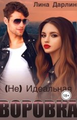 обложка книги Лина Дарлинг "(Не)Идеальная Воровка"