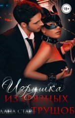 обложка книги Дана Стар "Игрушка из грязных трущоб"
