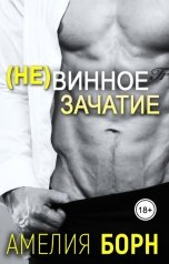 обложка книги Амелия Борн "(Не)винное зачатие"