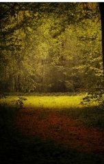 обложка книги Svetlana Shorokhova "Невеста полоза"