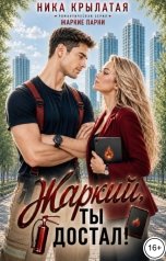 обложка книги Ника Крылатая "Жаркий, ты достал!"