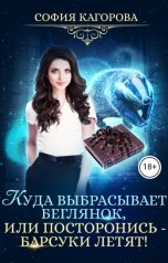 обложка книги София Кагорова "Куда выбрасывает беглянок, или посторонись — барсуки летят!"
