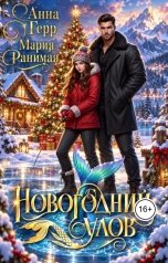 обложка книги Анна Герр, Мария Ранимая "Новогодний улов"