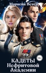 обложка книги Морвейн Ветер Social Sci-Fi "Осколки сгоревших звёзд, или Кадеты Нефритовой Академии (Трилогия в 1 томе)"