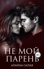 обложка книги Алайна Салах "Не мой парень"