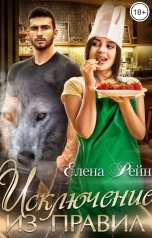 обложка книги Елена Рейн "Исключение из правил"