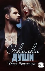 обложка книги Юлия Шевченко "Осколки души"