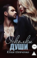 обложка книги Юлия Шевченко "Осколки души"