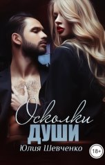 обложка книги Юлия Шевченко "Осколки души"