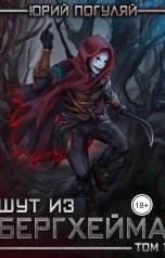 обложка книги Юрий Погуляй "Шут из Бергхейма"
