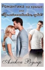 обложка книги Алекса Вулф "Романтика на крыше, или Где моё оптоволокно, чувак?"