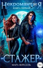 обложка книги Мара Вересень "Некромант и Я. Стажер"