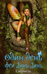 обложка книги Габриель "Один день феи Динь-Динь."