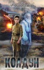 обложка книги Кай Вэрди "Колдун"