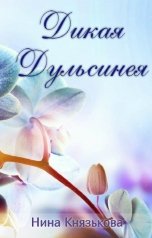 обложка книги Нина Князькова "Дикая Дульсинея"