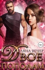 обложка книги Ляна Вечер "Двое пополам"