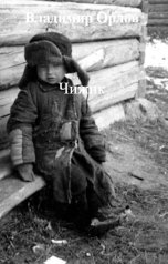 обложка книги Владимир Орлов "Чижик"