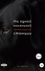 обложка книги Леди Дракнесс "На одной маленькой ветеринарной станции"
