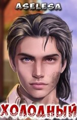 обложка книги Аселина Арсеньева "Холодный"