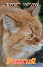 обложка книги Алевтина Зайцева "Рыжий"