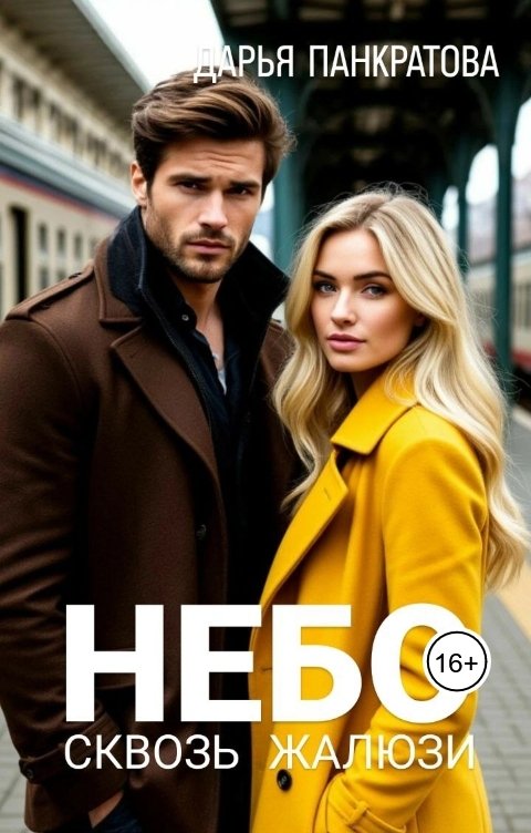 Обложка книги Дарья Панкратова Небо сквозь жалюзи