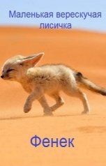 обложка книги Леха "Маленькая верескучая лисичка Фенек"