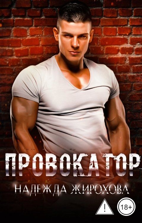 Обложка книги Надежда Жирохова Провокатор