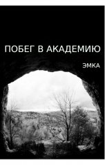 обложка книги wayerr "Побег в Академию"