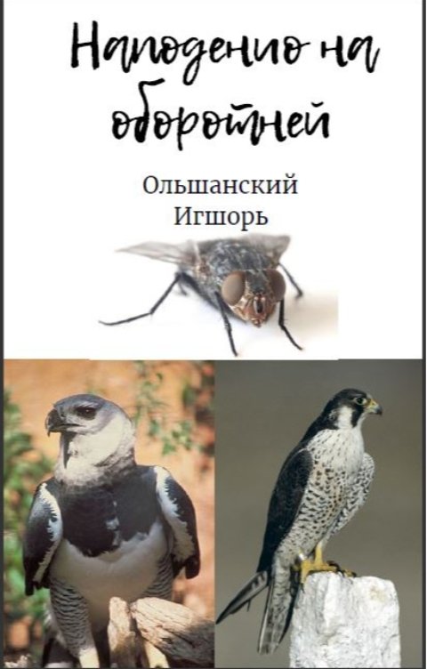 Обложка книги Ольшанский Игорь Нападение на обротней