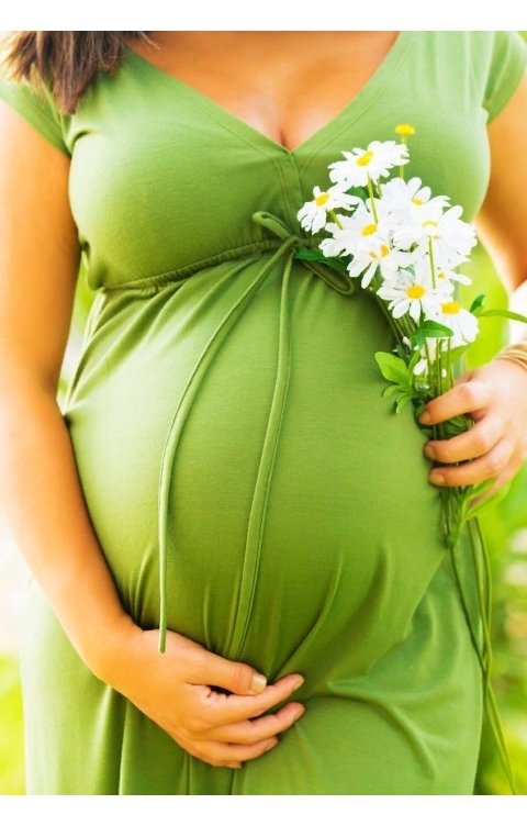 Обложка книги Ольга Босая Суррогатная мама