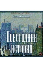 обложка книги Vladimir Sedinkin "Новогодняя история: когда всё решено"