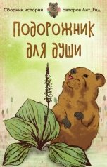 обложка книги ЛитРид, Ника Милосердова, Владимир Нащёкин, Котова Ксения, Александра Пушкина, Лидия Ситникова, Жанна Бочманова, Илья Поляков, Наталья Ильина, Ника Белай, Елена Фирстова "Подорожник для души"